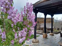 Biblioteca con chimenea